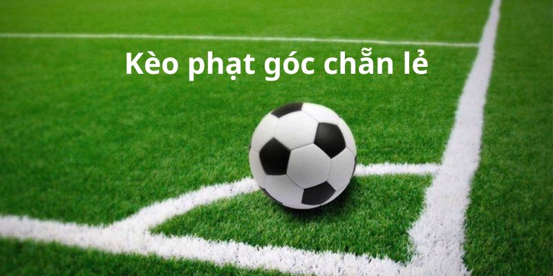 kèo phạt góc chẵn lẻ